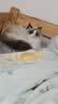 弗列加特 98%高含肉量 猫罐头 FPMR生骨肉猫湿粮 鲜鸡肉幼猫主食罐头95g 实拍图