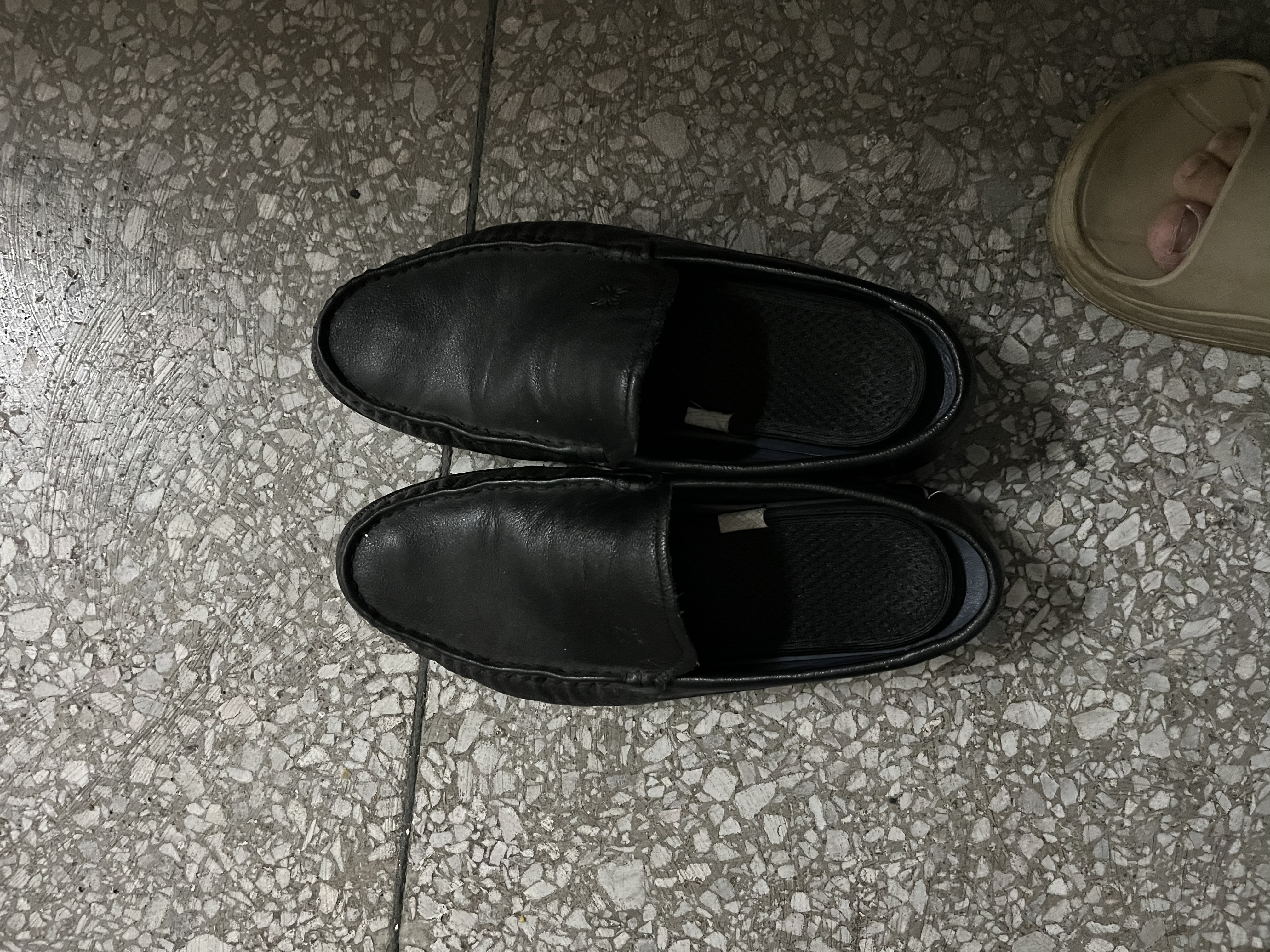 蜘蛛王男士皮鞋春秋季透气软底商务一脚蹬休闲豆豆鞋男 黑色四季款 38 实拍图