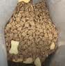 麦富迪猫粮 barf霸弗天然猫粮冻干生骨肉成猫粮养胃增肌鸡肉5.4kg 实拍图