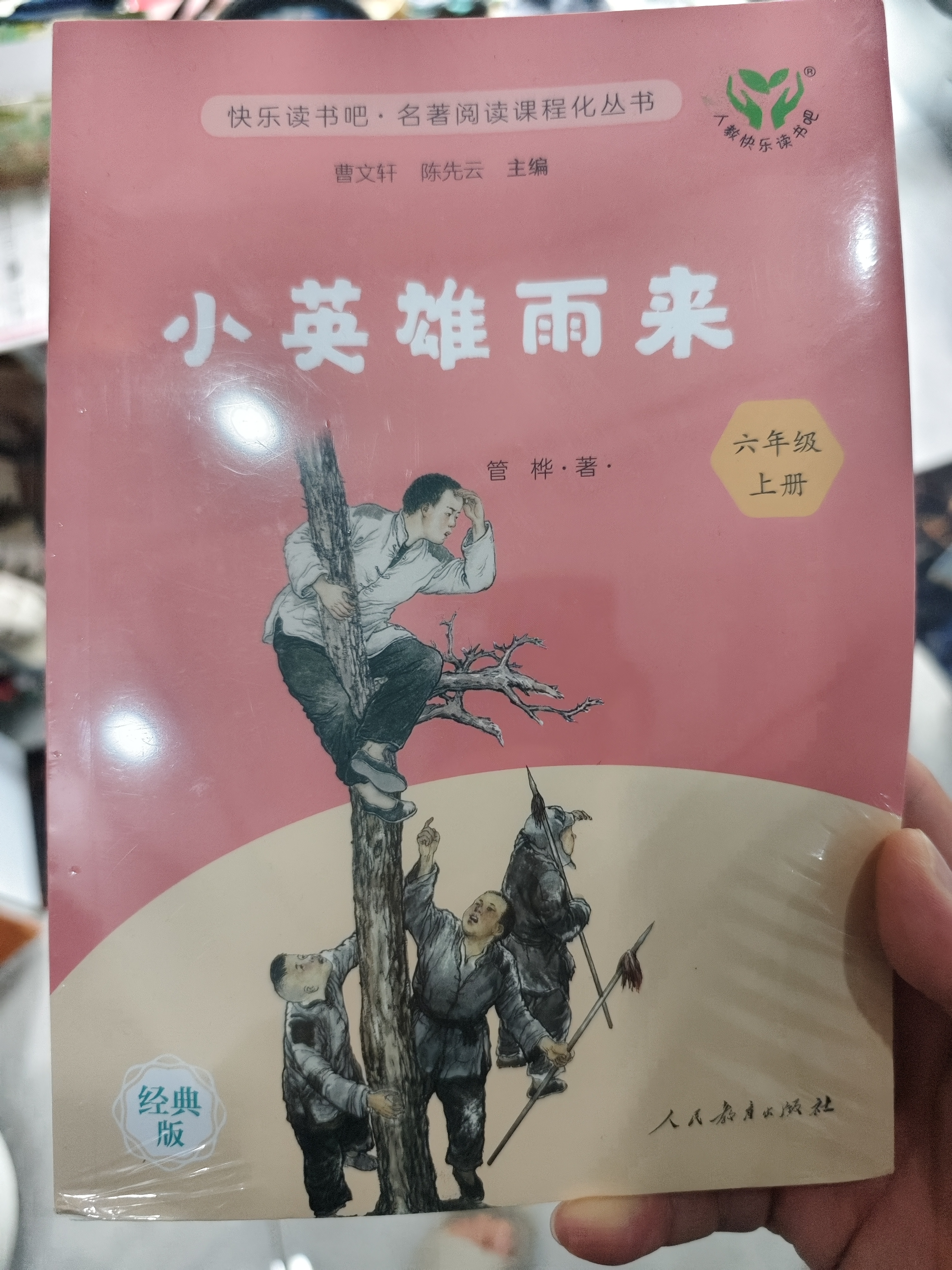 小英雄雨来（升级版）管桦著 人教版快乐读书吧 六年级上册（含音频资源）与新版语文教材配套使用  “书香校园联盟推荐图书” 实拍图