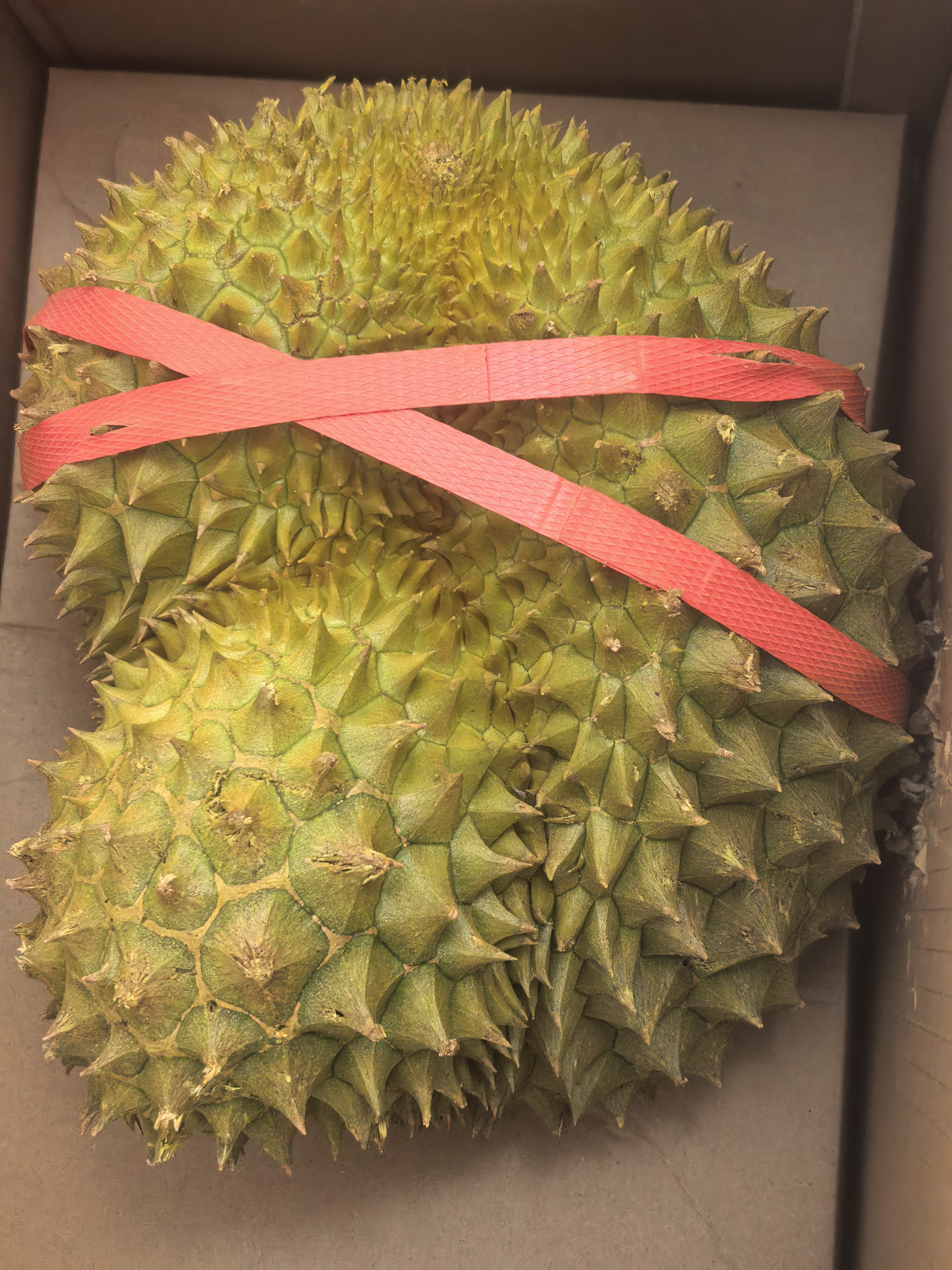 A级进口金枕鲜榴莲1粒约3kg(2-3kg) 实拍图