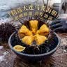 贡海青岛非遗马粪海胆手工水饺 340g 15只 海捕海鲜饺子速冻早餐速食 实拍图