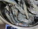 东上御品虾 青岛海鲜大虾基围虾鲜活青虾白虾海虾对虾冰虾冻虾生鲜 虾类 3斤(净重)  单冻大虾【活虾速冻】 15-17cm【活虾速冻】 实拍图