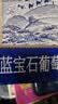 楼兰蜜语新疆大个蓝宝石葡萄干600g免洗特产节日送礼盒儿童黑手指零食蜜饯 实拍图