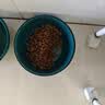 藻趣儿狗粮 藻趣儿狗粮成犬粮牛肉螺旋藻 均衡营养2.5kg 实拍图