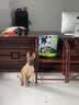 冠能狗粮大中型犬幼犬狗粮12kg 全价狗粮 添加牛初乳 实拍图
