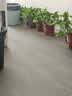 京东绿植绿萝盆栽除甲醛花卉绿植办公室新房净化空气 120款10盆源头直发 实拍图