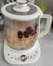 小熊（Bear）养生壶煮茶壶煮茶器 多功能保温一体烧水壶恒温水壶 316L母婴级煮水壶 1.5L YSH-E15M1 实拍图