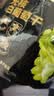 楼兰蜜语 无核白葡萄干225g/袋  新疆特产吐鲁番 蜜饯果干 零食 实拍图