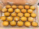 佳沛（zespri）金奇异果25-27粒原箱特大果124-146g猕猴桃水果礼盒 实拍图