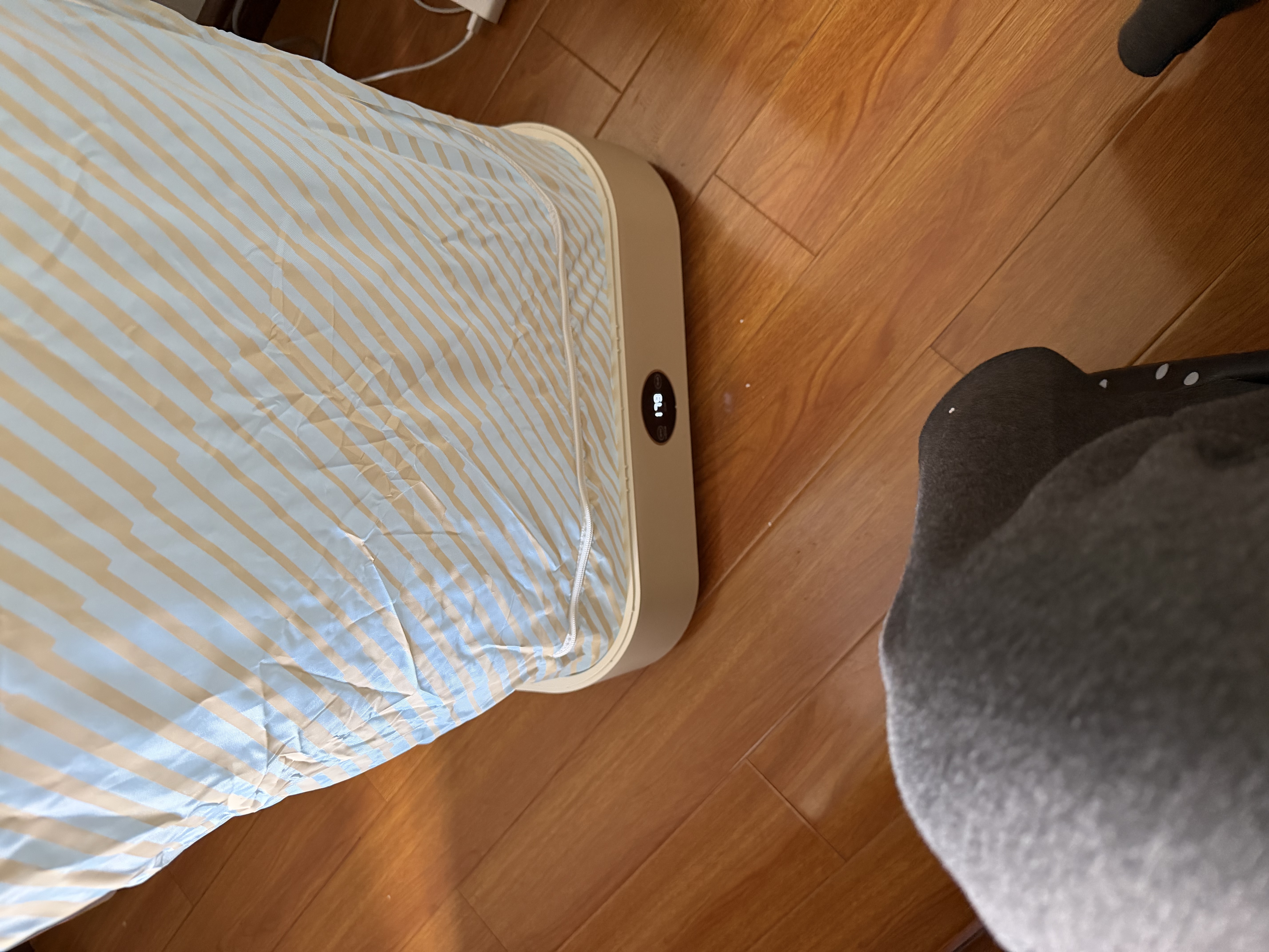 美的（Midea）【价低头部主播9折】【折叠迷你】烘干机便携式干衣机家用小型旅行烘衣机婴儿家用衣物护理机消毒 实拍图