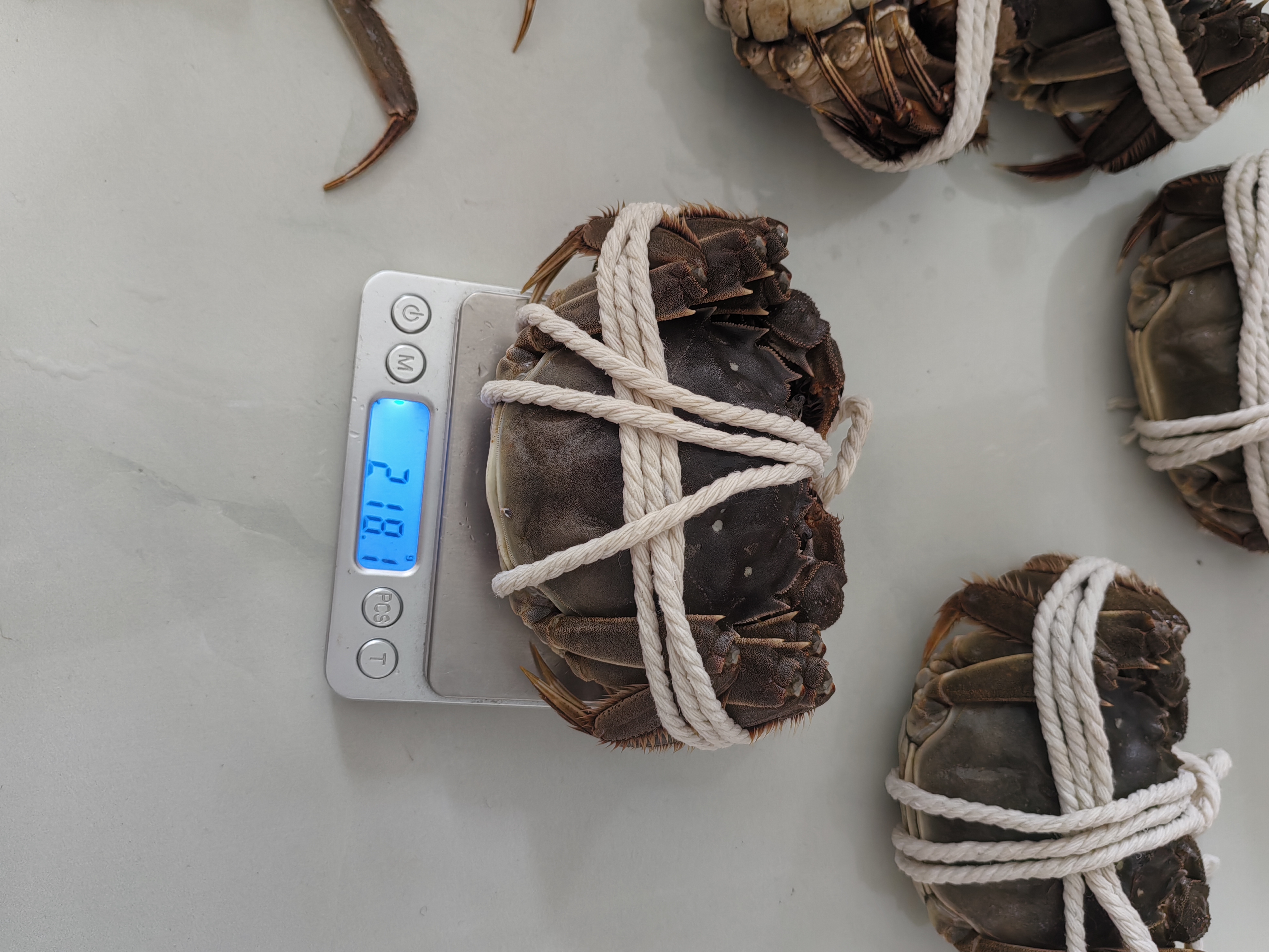 【活蟹】漁家师傅大闸蟹全母4.0-4.3两6只 去绳足重鲜活现货螃蟹生鲜水产海鲜礼盒 实拍图