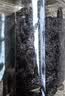 古力巴戈新疆特产大个颗粒蓝宝石葡萄干211g一级无核黑手指儿童零食下午茶 实拍图