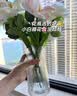 吕姆克花瓶玻璃客厅摆件鲜花插花仿真干花富贵竹水养花瓶透明两个装5043 实拍图