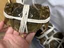 【活蟹】阳澄联合鲜活大闸蟹现货全母蟹 3.0-3.3两 8只生鲜螃蟹精品礼品盒 实拍图