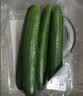 【水果菜】荷兰水果黄瓜约400g 实拍图