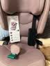宝得适（BRITAX）凯迪骑士Pro儿童安全座椅3.5-12岁宝宝椅薄雾粉 实拍图