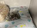京东物流 冰箱盖布防尘罩侧边收纳袋家用单双开门冰箱罩 双开门60cm*180cm【1个】款式随机 实拍图