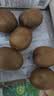 佳沛(zespri) 新西兰进口奇异果绿心猕猴桃 送礼礼盒 包邮源头直发 10粒装   单果约88-103g 实拍图