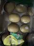 佳沛（zespri）新西兰金奇异果10粒巨大果146-175g猕猴桃水果礼盒 实拍图