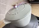 珐宝（staub）法国进口珐琅铸铁奶锅汤锅炖锅炒锅具饭釜锅尤加利绿16cm 1025325 实拍图