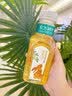 农夫山泉东方树叶桂花乌龙茶335ml*24瓶无糖茶饮料0糖0脂0卡【金秋限定】 实拍图