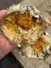 【活蟹】鲜京采鲜活大闸蟹 全母蟹4.0两4对8只 去绳足重蟹类海产螃蟹现货礼盒 实拍图