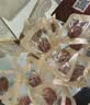 良品铺子软香金钱肉脯500g 猪肉脯肉干靖江风味独立小包装 休闲零食 实拍图