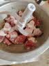 小熊（Bear）家庭用绞肉机 绞馅机 料理机 搅拌机 和面机 多功能绞肉机和面机一体机 2026新款家用QSJ-W05G3 实拍图