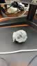 大疆 DJI Mic Mini 迷你无线高品音质降噪领夹麦克风【安卓+苹果151617】手机版两发一收 实拍图