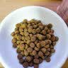 皇家（ROYAL CANIN）全价处方粮LF22胰腺低脂易消化促肠胃道消化高能量成犬粮6KG 实拍图
