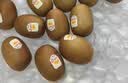佳沛（zespri）新西兰金奇异果10粒巨大果146-175g猕猴桃水果礼盒 实拍图