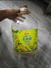 金龙鱼 食用油 非转基因 物理压榨玉米油6.18L（蕴含植物甾醇） 实拍图