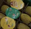 佳沛（zespri）新西兰金奇异果30-33粒原箱103-124g猕猴桃水果礼盒 实拍图