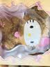 TOP TOYHello Kitty治愈贵宾狗系列毛绒公仔手办玩具儿童生日礼物 实拍图