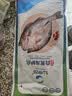 仙泉湖三去白蕉海鲈鱼1斤/条净膛刺少肉厚珠海特产500g海鲜水产生鲜食材 实拍图