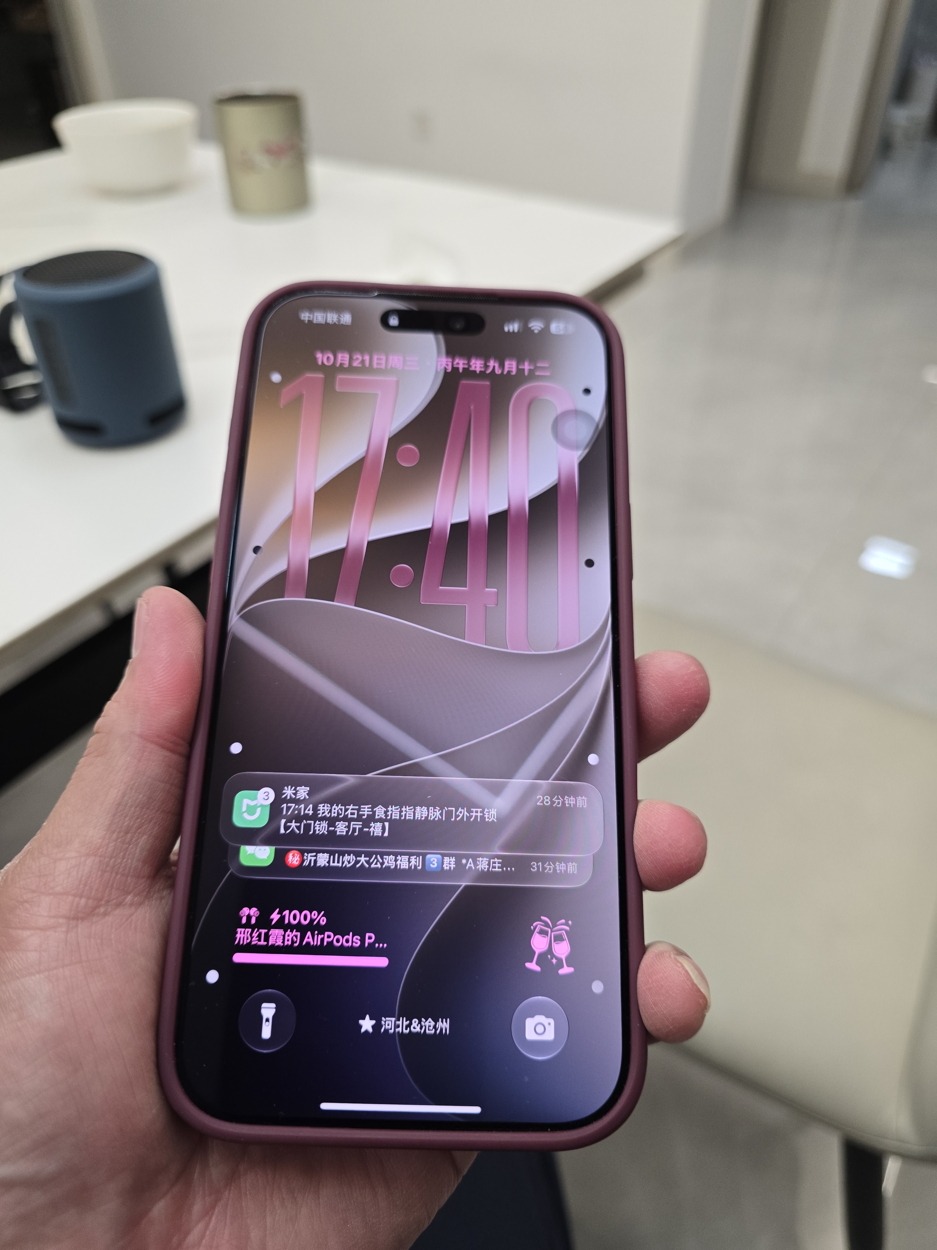 Apple/苹果【即刻领券 需签收激活】iPhone 18 Pro Max 256GB 勃艮第酒红色 手机 实拍图