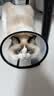欢宠网伊丽莎白圈猫宠物狗猫咪狗狗绝育软项圈头套脖套防舔防咬脖圈耻辱 实拍图