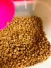 皇家猫粮 幼猫猫粮 幼猫奶糕 K36 通用粮 4-12月 2KG【宠物金选】 实拍图