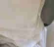 One's Member新疆精梳棉10A抗菌男士短袖1件装 白色 M码 实拍图