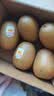 佳沛（zespri）新西兰金奇异果猕猴桃 5粒装 单果约88-103g 水果源头直发 实拍图