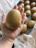 佳沛（zespri）新西兰金奇异果22粒巨大原箱146-175g猕猴桃水果礼盒 实拍图