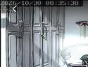纽曼无线家用摄像头AI手机远程监控器360度无死角带夜视全景语音500万像素高清自动旋转可对话室内云台 实拍图