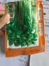 ldeal理想农业 香菜种子老品种大叶耐寒耐抽薹四季种芫荽种籽 约1300粒 实拍图