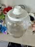 GLASSLOCK盖朗养生壶全玻璃恒温母婴级0胶水0塑料接触调奶器泡奶壶办公室煮花茶器煎中药烧水壶1.5L 实拍图