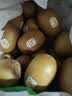 佳沛（zespri）金奇异果25-27粒原箱特大果124-146g猕猴桃水果礼盒 实拍图