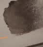 雨虹防水水不漏 速干水泥 堵漏宝快速堵漏 地漏安装 管根堵漏 2KG 实拍图