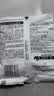 皇家布偶成猫粮 RA32 50g【活动专用请勿单独下单】 实拍图