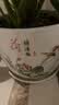 裕轩堂花盆陶瓷梅兰创意特大号简约绿萝吊兰阳台室内多肉托盆家用带托盘 82088-荷叶 特大直径21左右 实拍图