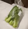 上海青约500g(油菜) 实拍图